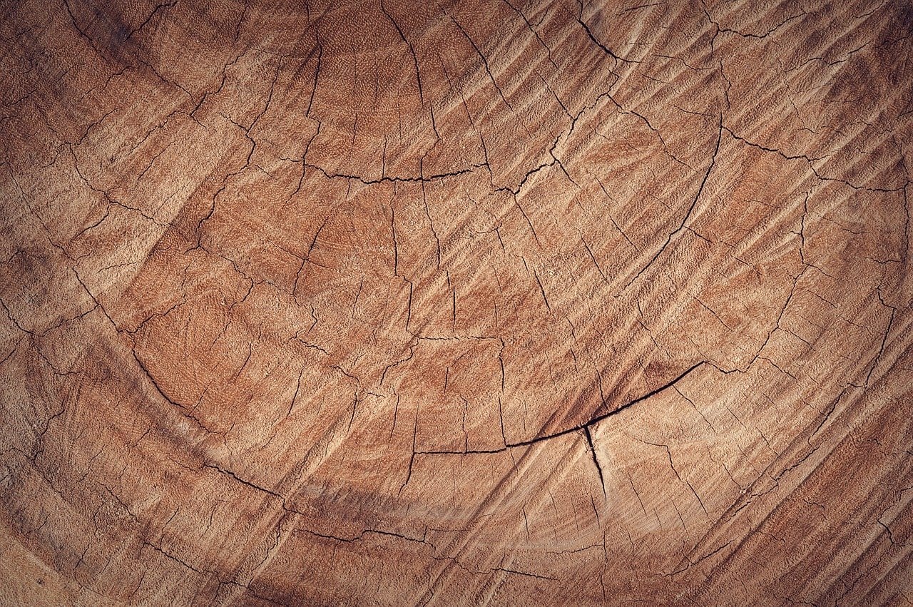 wood, floor, backdrop
